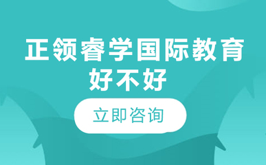 北京正領睿學國際教育 以創意策劃服務賦能未來教育