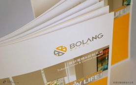 創(chuàng)意賦能品牌價(jià)值 廣東產(chǎn)品包裝設(shè)計(jì)與畫(huà)冊(cè)設(shè)計(jì)的策劃服務(wù)解析