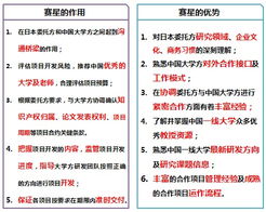 上海賽星軟件外包服務(wù)的作用與優(yōu)勢(shì)分析